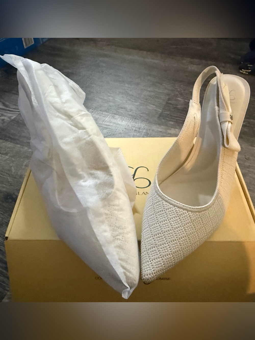Textured Pointed Slingback Heels in Cream